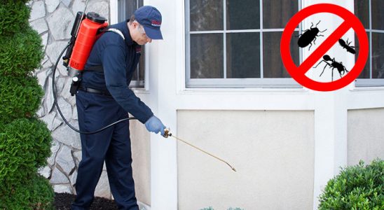 İbradı Bit İlaçlama böcek ilaçlama ve haşere kontrolü — ilaclama-tr.com